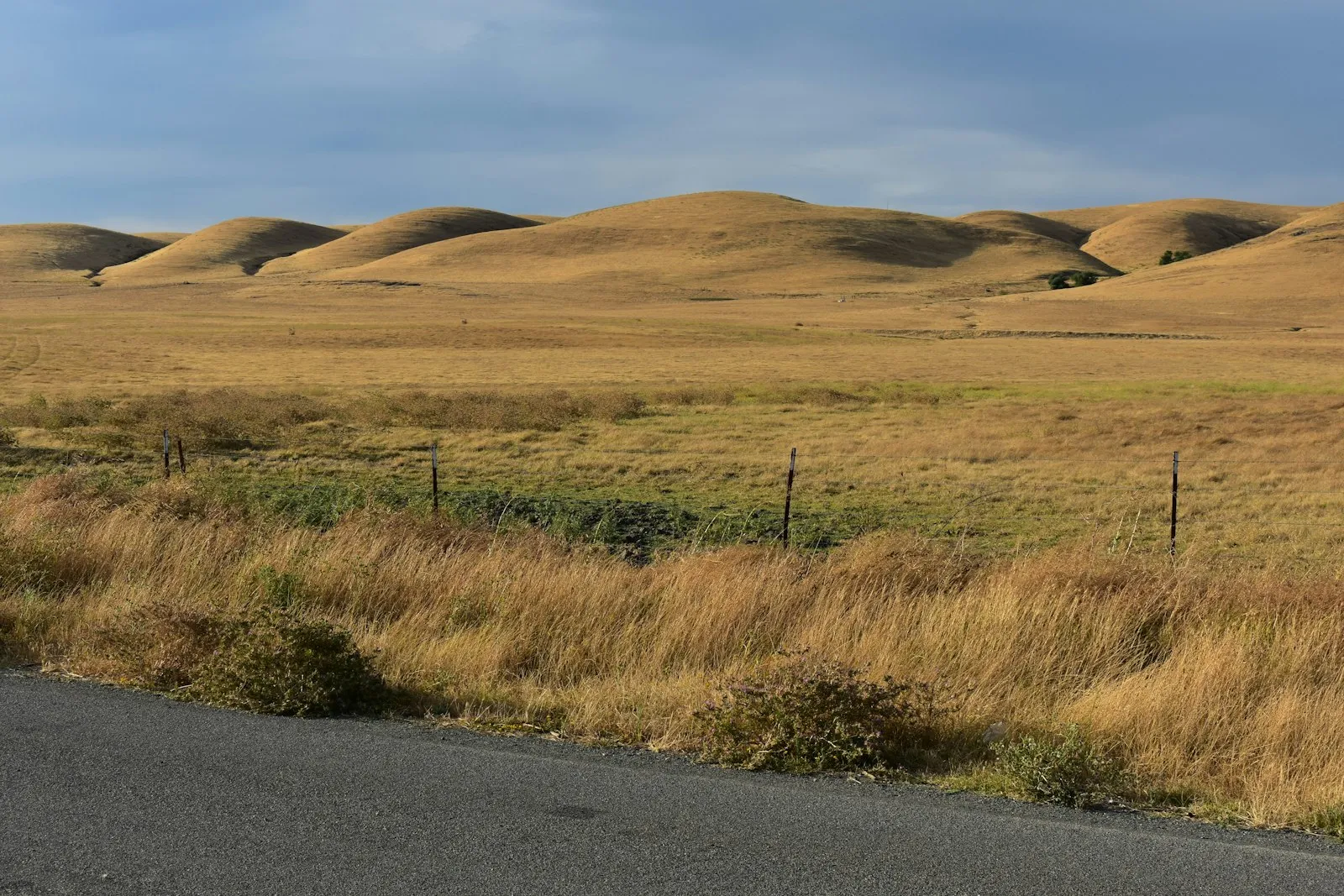 Golden rolling hills under an open sky Golden rolling hills under an open sky